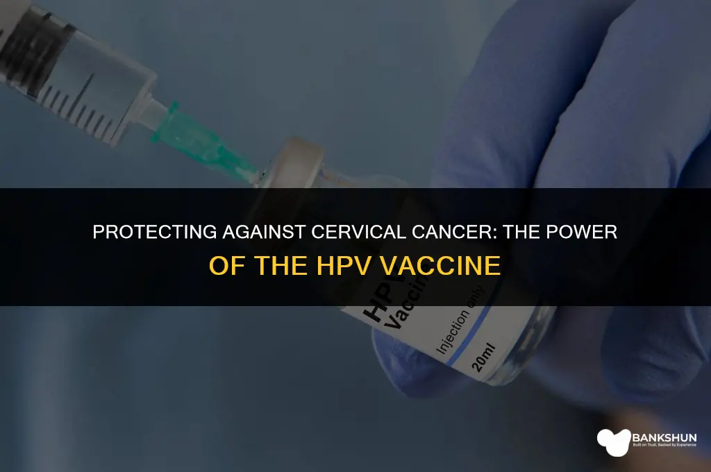 which disease is prevented by tab vaccine