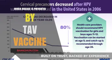 Protecting Against HPV: The Power of the TAV Vaccine