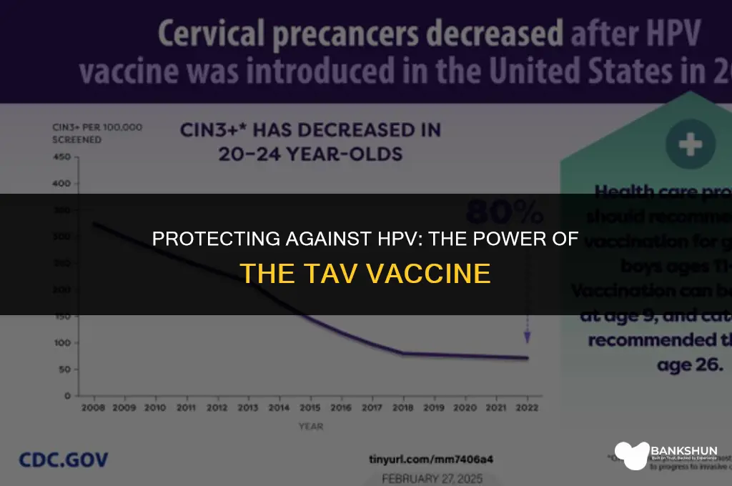 which disease is prevented by tav vaccine