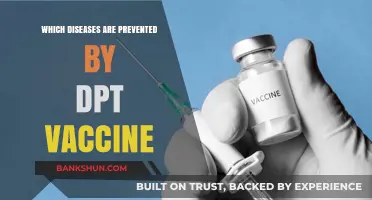 Safeguarding Health: Diseases Prevented by the DPT Vaccine