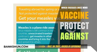 Safeguarding Health: The MMR Vaccine's Defense Against Diseases