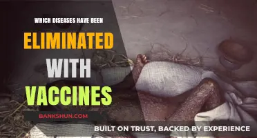 Vaccine Victories: Eradicating Diseases One Shot at a Time