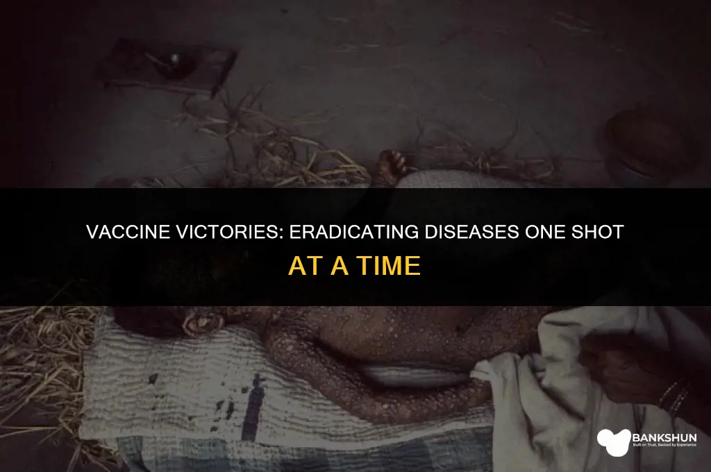 which diseases have been eliminated with vaccines