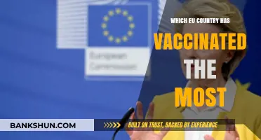 EU Vaccination Leaders: Which Country Tops the Inoculation Charts?