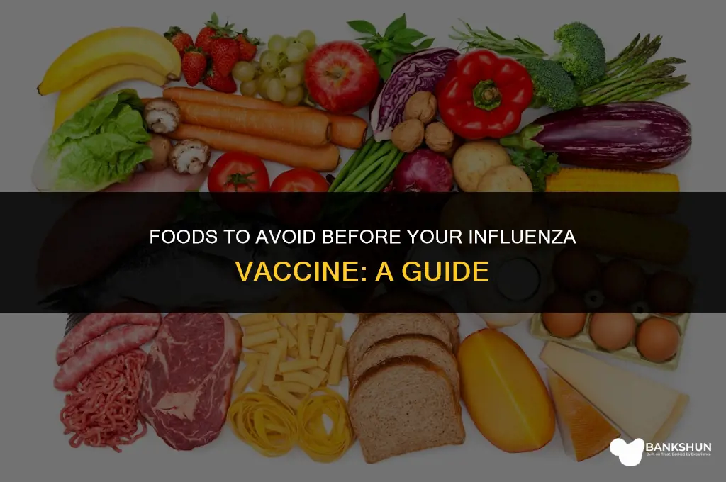 which food is contraindicated for influenza vaccine