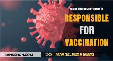 Understanding Vaccination Responsibilities: A Guide to Government Entities