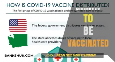 Next in Line: Prioritizing Groups for Upcoming Vaccinations