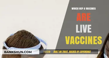 Understanding Hepatitis A Vaccines: Are They Live or Inactivated?
