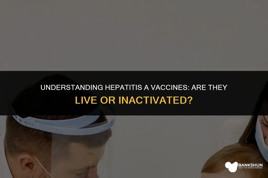 which hep a vaccines are live vaccines