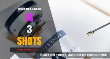 Understanding Hepatitis B Vaccination: The Complete Three-Shot Series