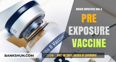 Exploring Hepatitis Vaccines: Pre-Exposure Protection and Beyond