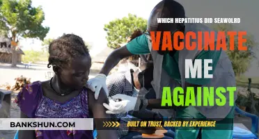 Hepatitis Vaccination at SeaWorld: Understanding Your Protection