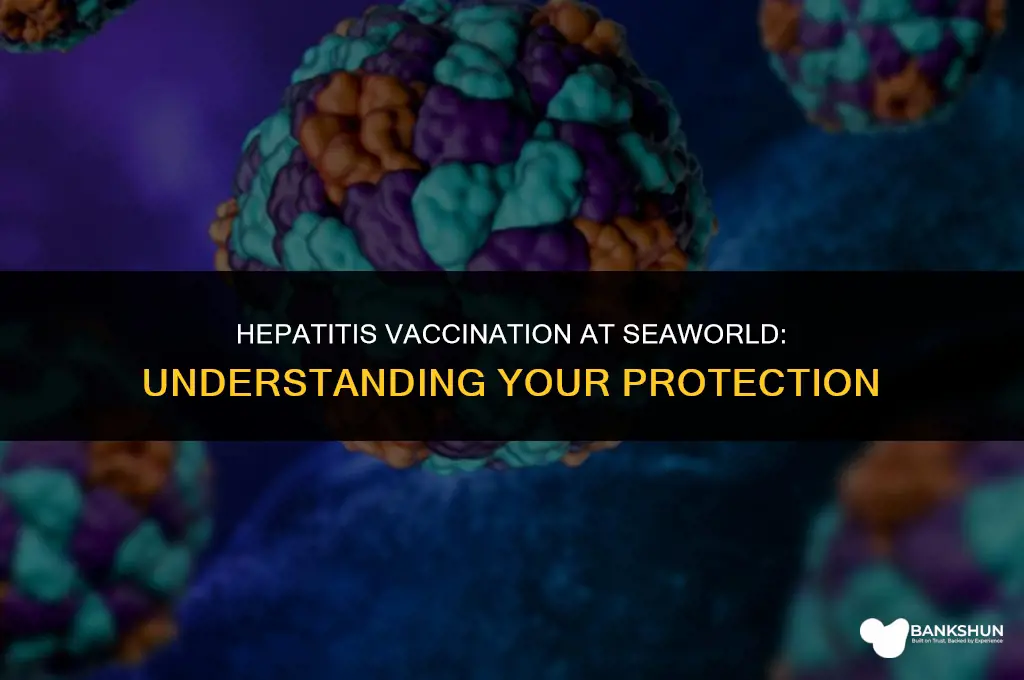 which hepatitius did seawolrd vaccinate me against