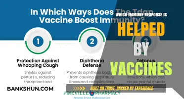 Boosting Immunity: How Vaccines Strengthen Our Body's Defense
