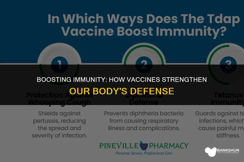 which immune response is helped by vaccines