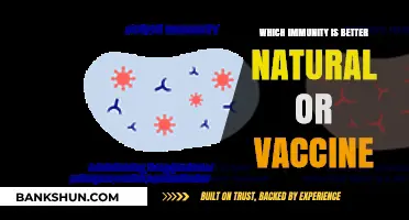 Natural vs. Vaccine Immunity: Unraveling the Superior Defense