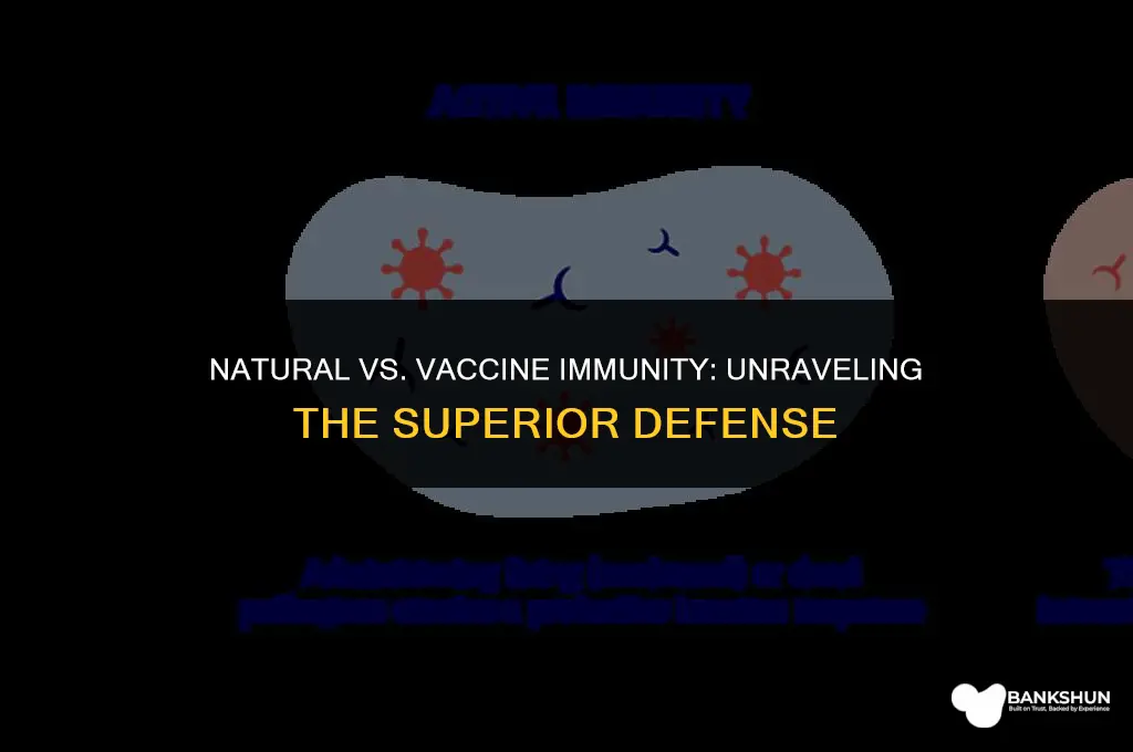 which immunity is better natural or vaccine