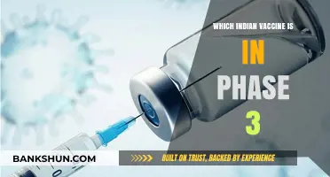 Advancements in Indian Vaccine Research: Phase 3 Trials Spotlight