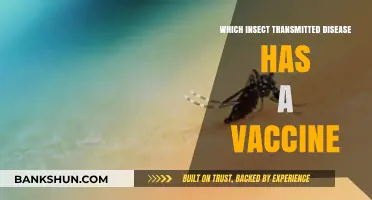 Breakthrough in Disease Prevention: The Insect-Borne Illness with a Vaccine