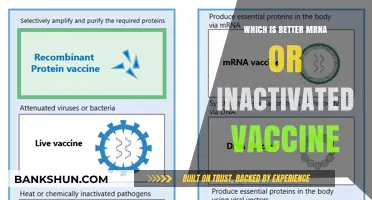 Exploring the Pros and Cons: mRNA vs. Inactivated Vaccines