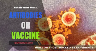 Natural Antibodies vs. Vaccines: Unraveling the Immunity Debate