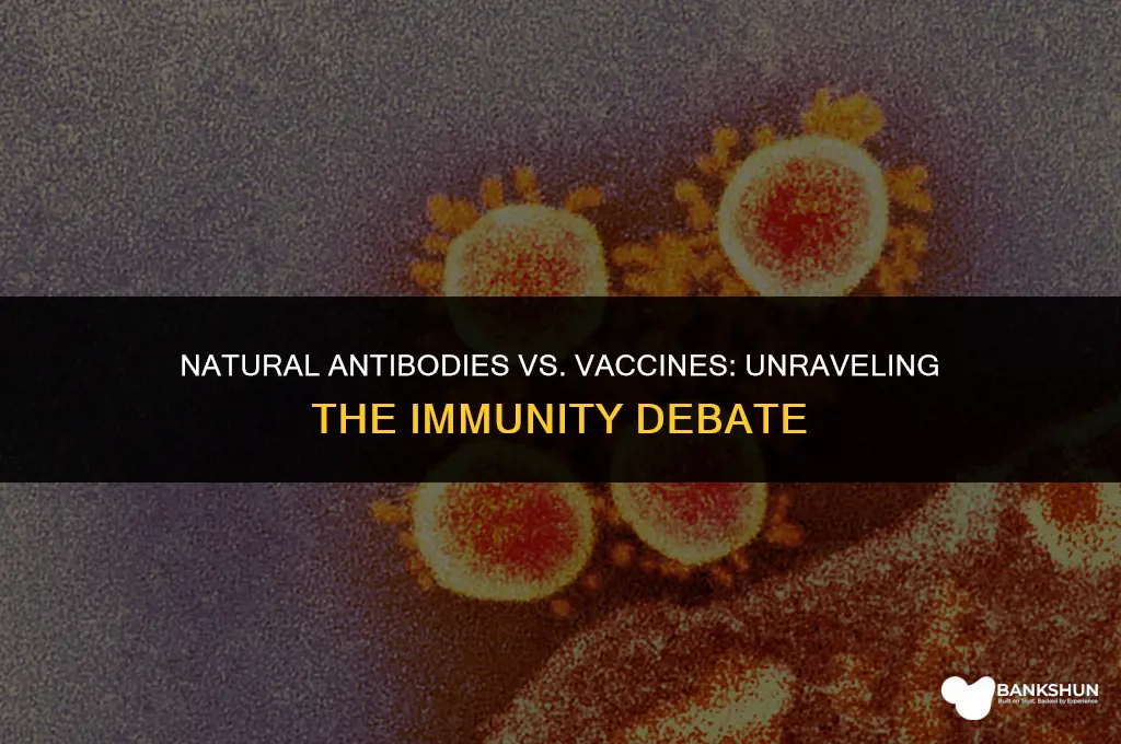 which is better natural antibodies or vaccine