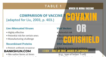 Decoding mRNA Vaccines: Covaxin vs Covishield Explained