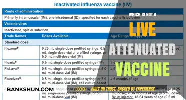 Understanding Vaccine Types: Which Ones Aren't Live Attenuated?