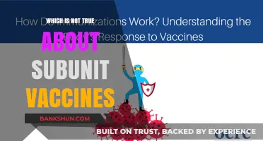 Debunking Myths: The Truth About Subunit Vaccines Revealed