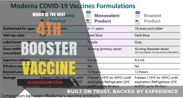 Choosing the Right 4th Booster Vaccine: A Comprehensive Guide