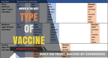 Exploring the Optimal Vaccine: A Comprehensive Guide to Immunization