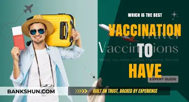 Protecting Yourself: A Guide to Essential Vaccinations for Optimal Health