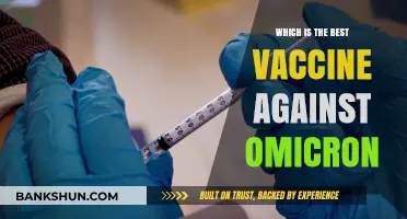 Combatting Omicron: The Most Effective Vaccine Options Available