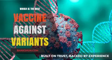 Combatting Variants: The Quest for the Most Effective Vaccine