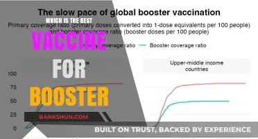 Boosting Immunity: The Optimal Vaccine Choice for Your Health