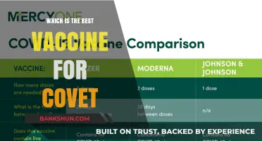 Exploring the Optimal COVID-19 Vaccine: A Comprehensive Guide