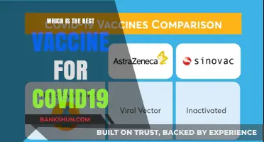 Decoding the Best COVID-19 Vaccine: A Comprehensive Guide