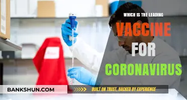 Front-Runner in the Race: The Leading COVID-19 Vaccine Contenders