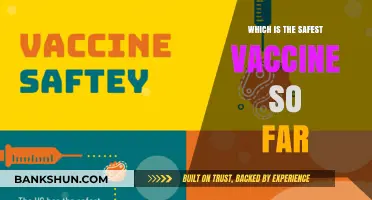 Exploring the Safest Vaccine Options: A Comprehensive Guide