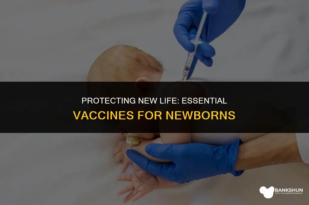 which is the vaccine for new borns