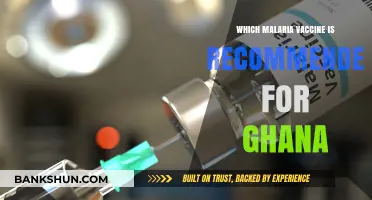 Combatting Malaria in Ghana: The Recommended Vaccine Guide