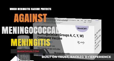 Shielding Against Meningococcal Meningitis: Your Vaccine Guide
