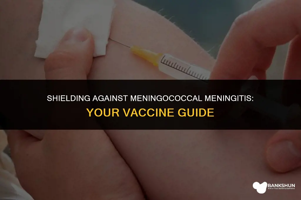 which meningitis vaccine protects against meningococcal meningitis
