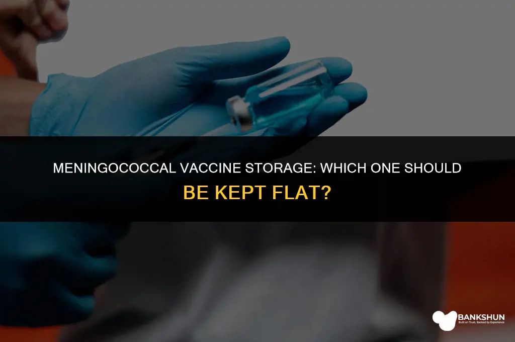 which meningococcal vaccine should be stored flat