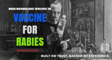 Louis Pasteur: The Genius Behind the Rabies Vaccine Breakthrough