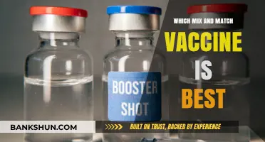 Decoding the Best Mix-and-Match Vaccine Strategy: A Comprehensive Guide