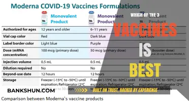 Decoding the Best COVID-19 Vaccine: A Comprehensive Guide