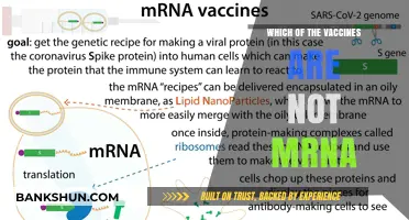 Exploring Non-mRNA Vaccines: A Comprehensive Guide