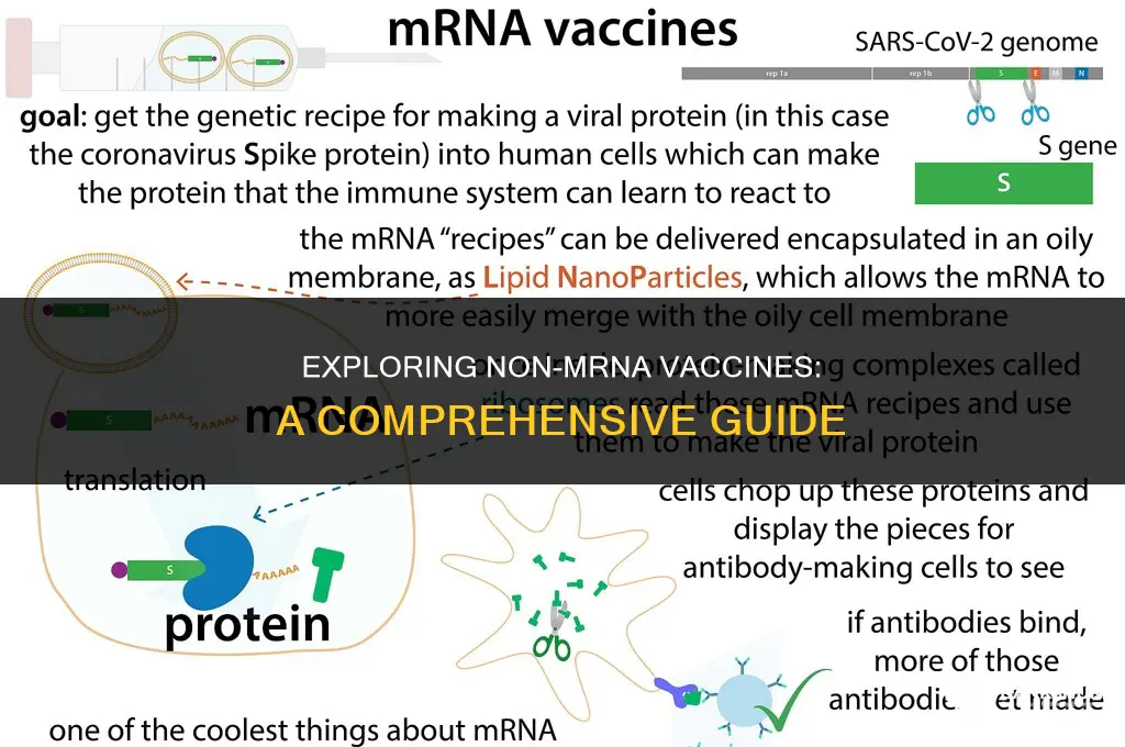 which of the vaccines are not mrna