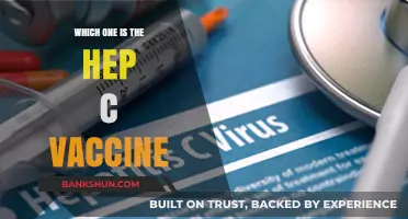 Decoding Hepatitis C Vaccines: Your Guide to Prevention and Protection